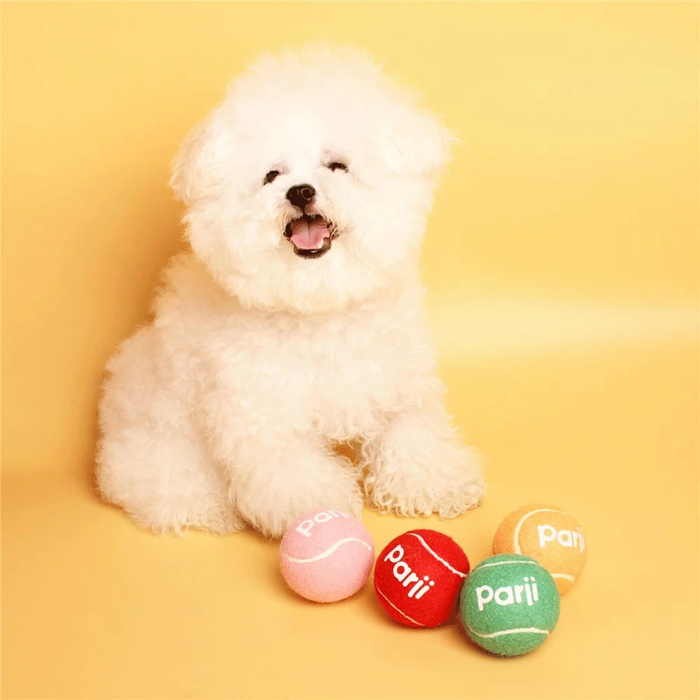 PARJI 4Pcs Size S 5cm Squeaky Dog Toy Balls Rubber Felt Tennis Balls for Dogs Outdoor Playing Training - 5