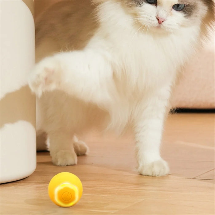 AIWO Pet Smart Rolling Ball Cat Teaser Bite Resistant Dog Interactive Training Toy - Floral / Yellow - 2