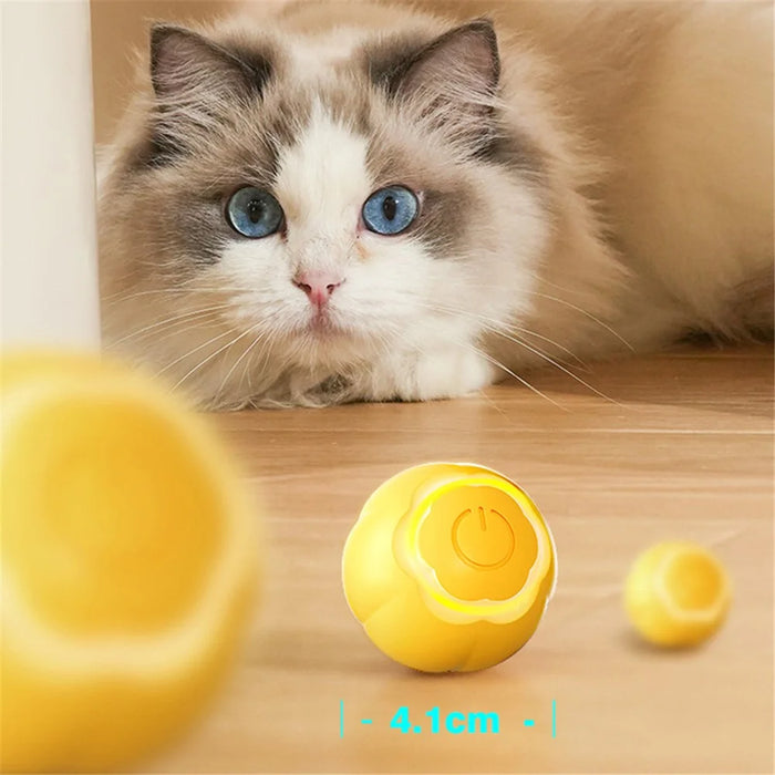 AIWO Pet Smart Rolling Ball Cat Teaser Bite Resistant Dog Interactive Training Toy - Floral / Yellow - 3