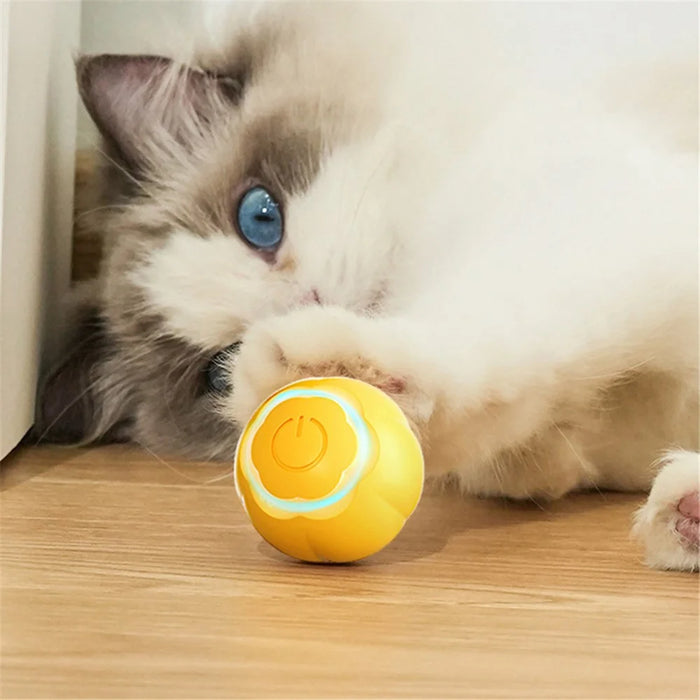 AIWO Pet Smart Rolling Ball Cat Teaser Bite Resistant Dog Interactive Training Toy - Floral / Yellow - 4