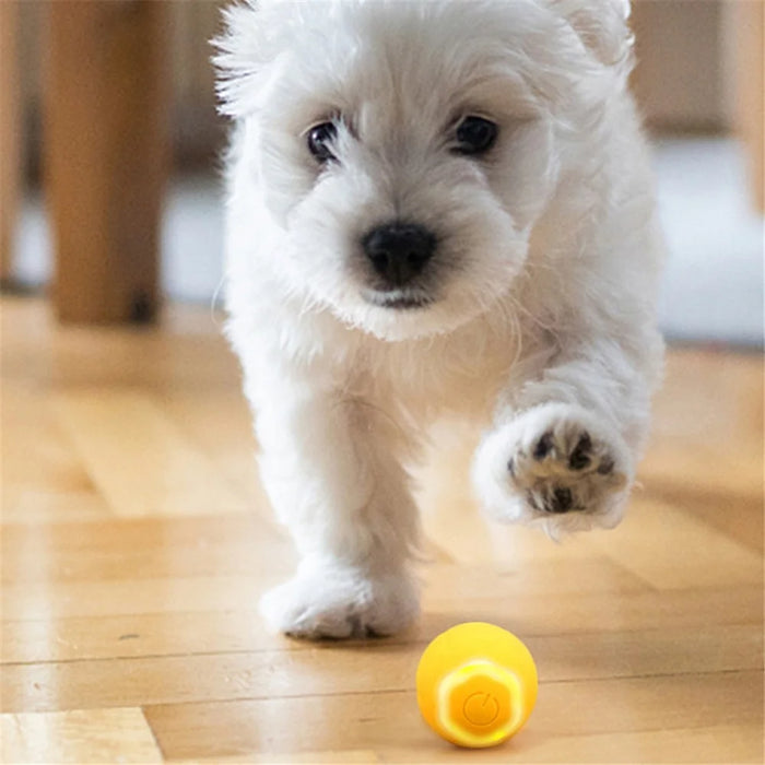 AIWO Pet Smart Rolling Ball Cat Teaser Bite Resistant Dog Interactive Training Toy - Floral / Yellow - 7