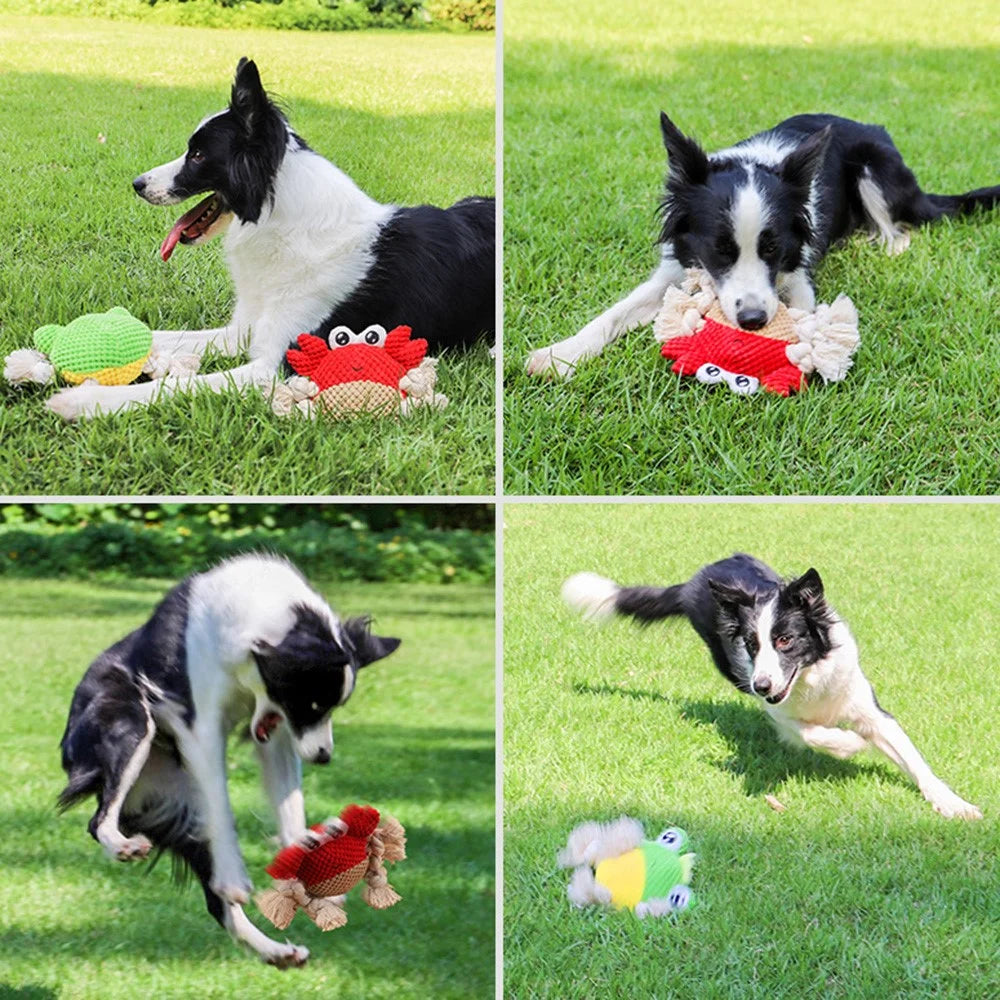 Bite Training Tug Interactive Plush Toy Pet Dog Squeaking Sound Chewing Toy ST  - Frog - 4