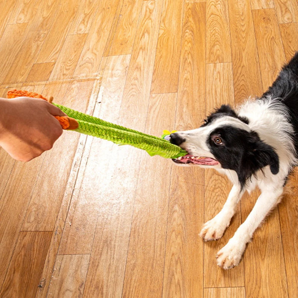 Cactus Style Squeaky Chew Dog Toy Food Sniffing Feeding Stress Relief Pet Supply ST - 6