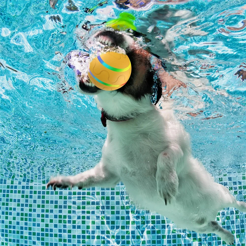 Bite Resistant Cat Dog Puppy Wicked Ball USB Rechargeable LED Light Electric Auto Pet Self-Playing Toy ST - Orange - 7
