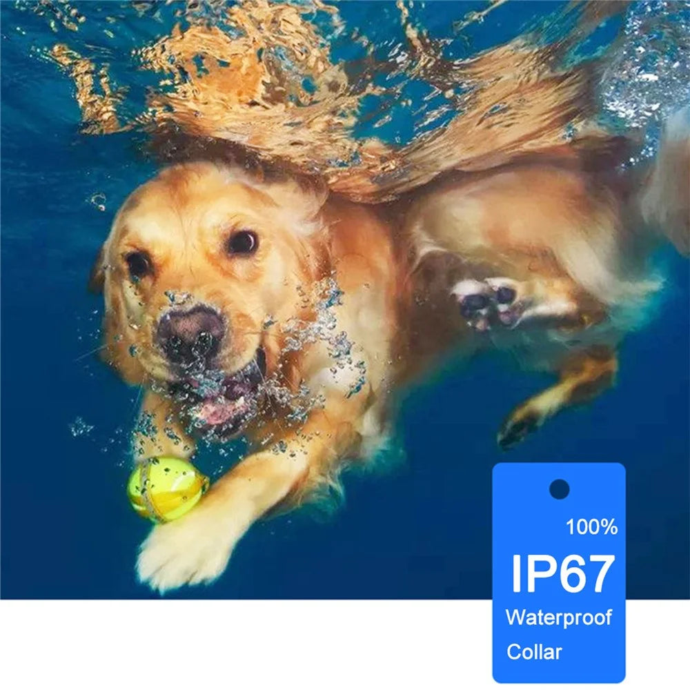 Electric Dog Training Collar Rechargeable IP67 Waterproof Electric Shock Collar for Dogs - 5