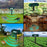 N911W Solar Powered Alarm for Garden, Farm Ultrasonic Animal Repellent Motion Sensor Infrared Detection - 5