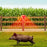 N911Q Solar Powered Bird Repellent Light Orchards Rice Fields Animal Deterrent Sound Light Alarm - 6