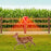 N911Q Solar Powered Bird Repellent Light Orchards Rice Fields Animal Deterrent Sound Light Alarm - 7