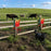 N912A 2Pcs 12 Sounds Solar Beast Repeller for Farm Orchard Infrared Motion Sensor Wild Animal Deterrent - 6