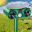 574 Solar Ultrasonic Animal Repellent IPX4 Waterproof PIR Motion Sensor for Outdoor - Green - 3