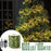 100m 1000 Leds 8 Modes IP44 Waterproof Copper Wire String Light Outdoor Decoration - Warm White - 2