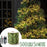 50m 500 Leds 8 Modes IP44 Waterproof Copper Wire String Light Outdoor Decoration - Warm White - 2