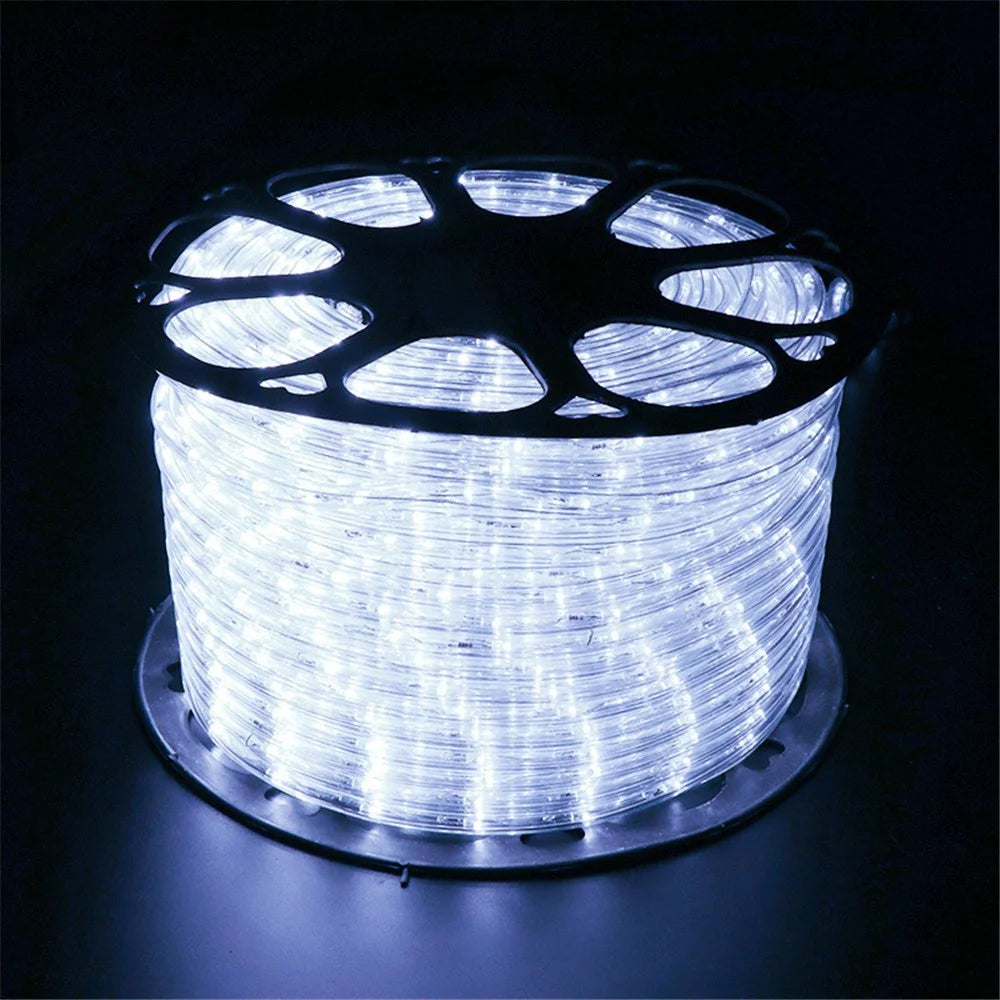 100m IP68 Waterproof 8 Modes 220V PVC LED Strip Light Outdoor Decor, Constant Light EU Plug - White - 1
