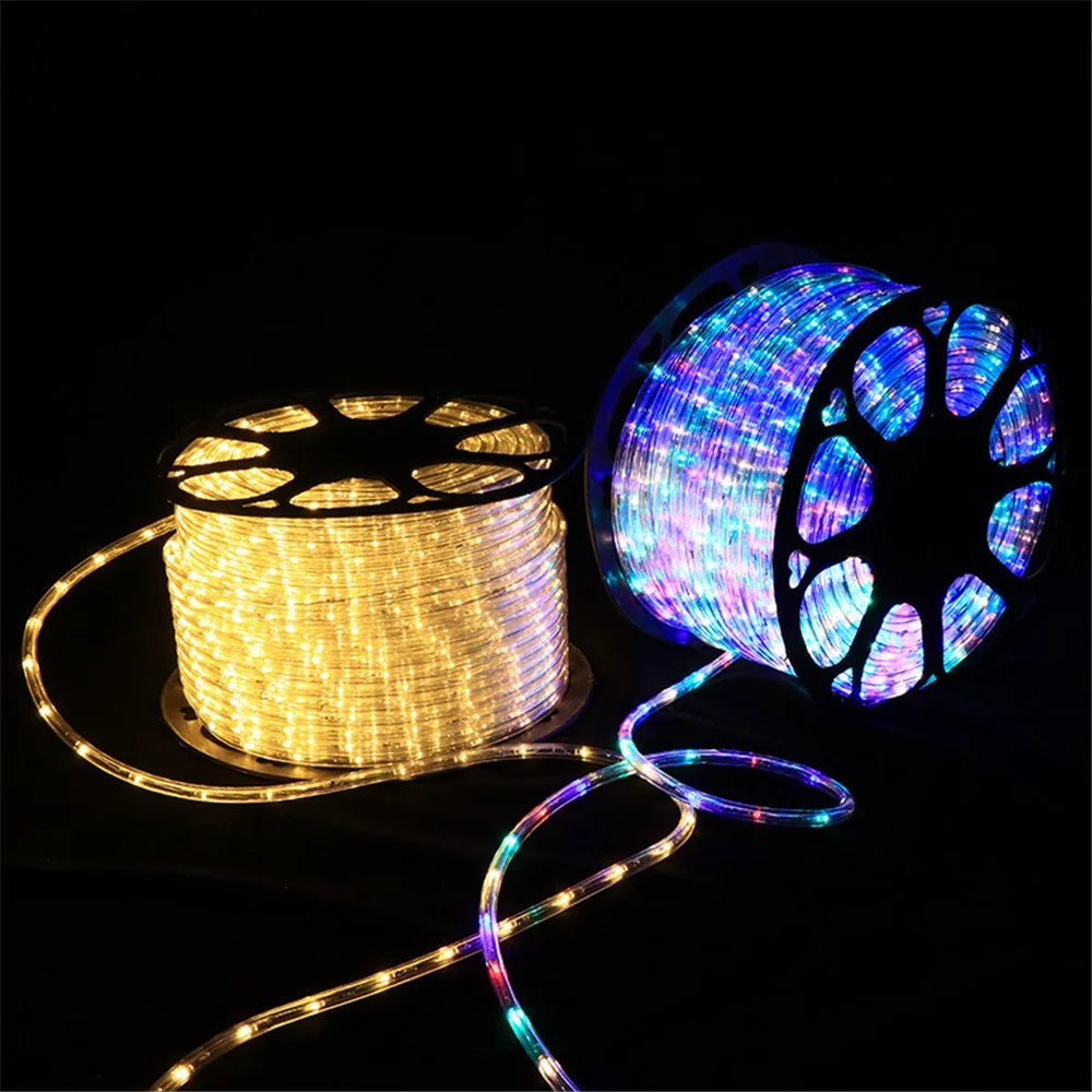 100m IP68 Waterproof 220V Flexible PVC LED Strip Light Outdoor Decor, 8 Modes EU Plug - White - 3