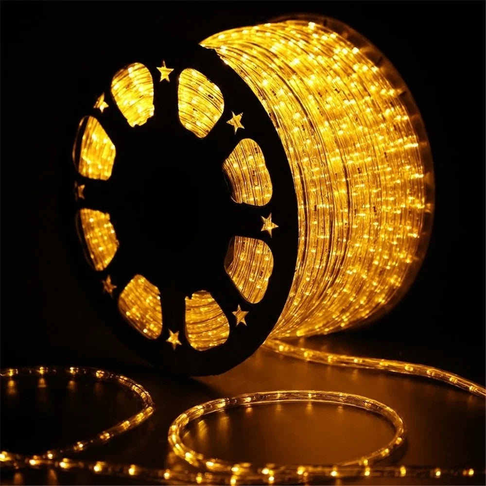 100m IP68 Waterproof 220V Flexible PVC LED Strip Light Outdoor Decor, 8 Modes EU Plug - White - 7