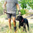 Dog Leash Strong Durable Leash Pulling Rope with Dual Loop Handles - Red - 5