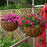 001-YZ01 14-inch Iron Art Garden Hanging Flower Pot Basket with Coir Liner (Semi-circular Mesh Shape) - 2
