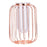 Luxury Transparent Glass Vase with Iron Stand Lantern Shaped Geometric Hydroponic Vase Home Decoration, Size S - Rose Gold - 1