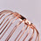 Luxury Transparent Glass Vase with Iron Stand Lantern Shaped Geometric Hydroponic Vase Home Decoration, Size S - Rose Gold - 5