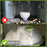 Microwave Splatter Cover with Dual Water Steamer Clear Microwave Plate Cover Lid Dish Bowl Cover - 4