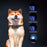 Dog Stop Bark Collar Remote Control Dog Training Device Waterproof Reflective Pet Collar - 5