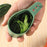 Stainless Steel Peeler with Storage Compartment Herb Stripping Kitchen Tool (BPA Free, No FDA Certificate) - Green - 3