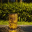 Butterfly Hollow Out Iron Solar Lantern Waterproof Outdoor Hanging Garden Light, Size L - 5