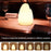 Remote Control Night Light Rechargeable 16 Colors 6 Brightness Levels Bedside Lamp Egg-Shaped Lamp for Home, Bar - 2
