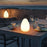 Remote Control Night Light Rechargeable 16 Colors 6 Brightness Levels Bedside Lamp Egg-Shaped Lamp for Home, Bar - 3