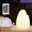 Remote Control Night Light Rechargeable 16 Colors 6 Brightness Levels Bedside Lamp Egg-Shaped Lamp for Home, Bar - 6