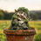 Sleeping Tree Elf Flower Pot Decoration Acrylic Waterproof Garden Stake Courtyard Garden Ground Plug - 2
