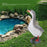 Resin Craft Goose Ornament Garden Courtyard Balcony Waterscape Goose Sculpture Decoration - Grey - 2