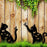 2Pcs Creative Iron Art Garden Ornaments Hollow Cat Landscape Lawn Insert Decoration - 5