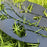 2PCS Hollow-Out Iron Garden Decor Stake Yard Art Decoration for Patio, Lawn - Rabbit - 4