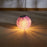 DN-003 10Pcs 30cm / 12 Inch IP55 Waterproof Outdoor Solar Light Garden Hanging Lantern - Pink - 2