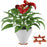 12Pcs Gardening Flower Pot Foot Pad PP Ventilation Plant Pot Heighten Base - Orange L - 2