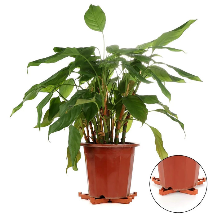 12Pcs Gardening Flower Pot Foot Pad PP Ventilation Plant Pot Heighten Base - Orange L - 3