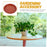 PB210 4Pcs 21cm Flower Pot Bottom Water Storage Round Tray Plastic Movable Potted Plant Base - Red - 4