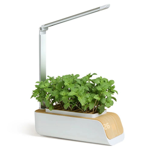 ABIS-H003 LED Grow Lights Smart Flower Pot Planter Automatic Absorption Hydroponics Plant Light Soilless Cultivation Electric Tool for Garden - US Plug - 1