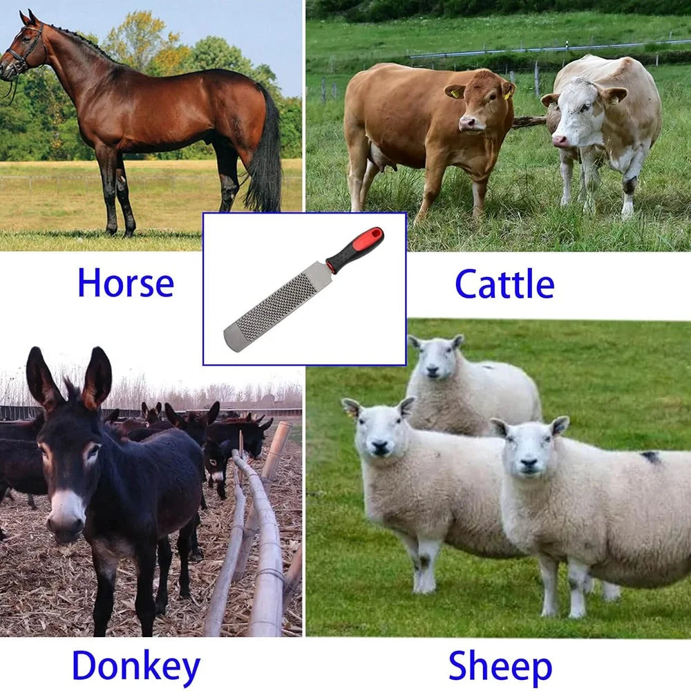 8 Inch Horseshoe Rasp with Handle Carbon Steel Double Sided Coarse Fine Teeth Cattle Hoof Trimming Tool - 3