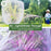 Fruit Tree Netting with Drawstring 200 x 240cm Garden Insect Barrier Plant Cover Tent-Bug Mesh Guard - White - 7