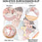 50*70cm Kitchen Reusable Silicone Baking Mat Rolling Dough Mat Non-stick Oven Pastry Tool (BPA-free, No FDA Certificate) - Black - 6
