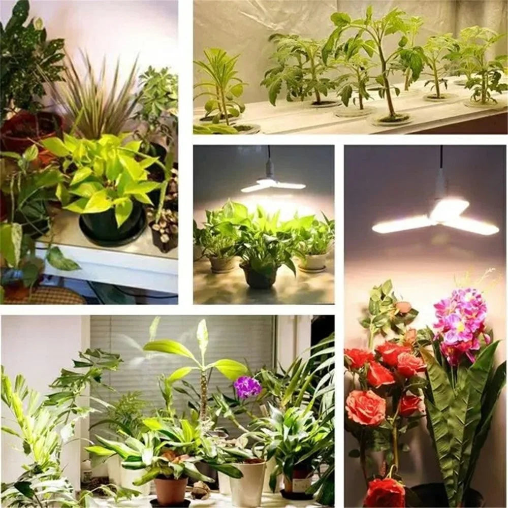 LED Grow Light 40W Full Spectrum Plant Growth Lamp Bulbs with 3 Folding Blades - 5