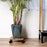 25x25cm Square Flower Pot Tray with Wheels Thickened Wooden Roller Base - 4