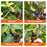 Professional Gardening Branch Pruning Shears Pruner Garden Clippers Hedge Shears Hand Tool with Safety Lock - 7