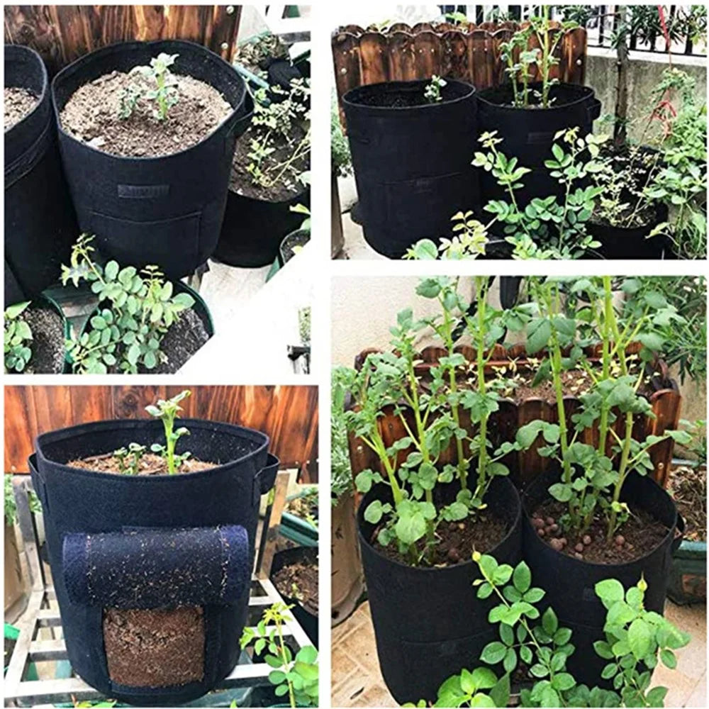 10 Gallon Vegetable Seedling Bag Non-Woven Fabric Potato Growing Bucket Planting Bag - Grey - 7