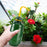 Long Spout Watering Can Squeeze Handle Thin Nozzle Bent Neck Plant Sprayer for Indoor Gardening / Houseplants - Green - 6