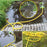 5m 1 / 2 Inch Multi-function Garden Watering PVC Hose Pipe for Irrigation System - 5