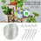 10m PVC Water Pipe Garden Drip Irrigation Clear Hose Fittings for Automatic Waterer - 4