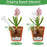 Self Watering Device Automatic Plant Water Irrigation Tool When Away On Vacation Travel - 5